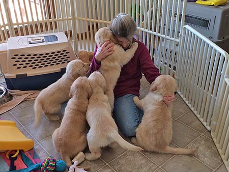 responsible breeders